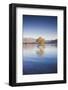 New Zealand, South Island, Otago, Wanaka, Lake Wanaka, solitary tree, dawn-Walter Bibikow-Framed Photographic Print