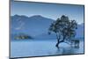 New Zealand, South Island, Otago, Wanaka, Lake Wanaka, solitary tree, dusk-Walter Bibikow-Mounted Photographic Print