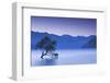 New Zealand, South Island, Otago, Wanaka, Lake Wanaka, solitary tree, dusk-Walter Bibikw-Framed Photographic Print