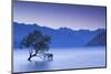 New Zealand, South Island, Otago, Wanaka, Lake Wanaka, solitary tree, dusk-Walter Bibikw-Mounted Photographic Print