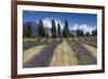 New Zealand, South Island, Otago, Wanaka, lavender farm-Walter Bibikow-Framed Premium Photographic Print