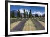 New Zealand, South Island, Otago, Wanaka, lavender farm-Walter Bibikow-Framed Premium Photographic Print