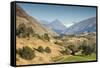 New Zealand, South Island, Otago, Wanaka, vineyard on Lake Wanaka-Walter Bibikow-Framed Stretched Canvas