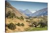 New Zealand, South Island, Otago, Wanaka, vineyard on Lake Wanaka-Walter Bibikow-Stretched Canvas