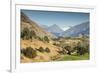 New Zealand, South Island, Otago, Wanaka, vineyard on Lake Wanaka-Walter Bibikow-Framed Premium Photographic Print