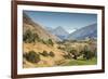 New Zealand, South Island, Otago, Wanaka, vineyard on Lake Wanaka-Walter Bibikow-Framed Premium Photographic Print