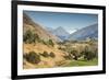 New Zealand, South Island, Otago, Wanaka, vineyard on Lake Wanaka-Walter Bibikow-Framed Premium Photographic Print