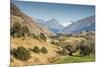 New Zealand, South Island, Otago, Wanaka, vineyard on Lake Wanaka-Walter Bibikow-Mounted Premium Photographic Print