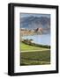 New Zealand, South Island, Otago, Wanaka, vineyard on Lake Wanaka-Walter Bibikow-Framed Photographic Print