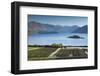 New Zealand, South Island, Otago, Wanaka, vineyard on Lake Wanaka-Walter Bibikow-Framed Photographic Print