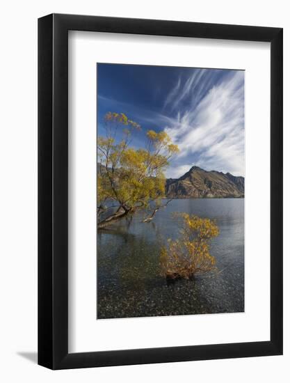 New Zealand, South Island, Queenstown, mountain landscape on Lake Wakatipu-Walter Bibikow-Framed Photographic Print