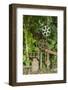 New Zealand, South Island, Ross, street art made from mining equipment-Walter Bibikow-Framed Photographic Print