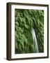 New Zealand, South Island, West Coast, Nature, Vegetation, Waterfall-Thonig-Framed Photographic Print