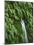 New Zealand, South Island, West Coast, Nature, Vegetation, Waterfall-Thonig-Mounted Photographic Print