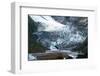 New Zealand, South Island, Westland National Park, Franz Josef Glacier-Catharina Lux-Framed Photographic Print