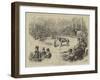 New Zealand Tattersall's-John Jellicoe-Framed Giclee Print