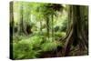 New Zealand Tropical Forest Jungle-STILLFX-Stretched Canvas