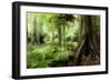 New Zealand Tropical Forest Jungle-STILLFX-Framed Photographic Print