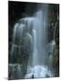New Zealand, Waterfall in the Valley of the Haast River-Thonig-Mounted Photographic Print