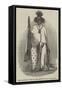 New Zealand Yuoth at the Egyptian Hall, Piccadilly-null-Framed Stretched Canvas