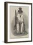 New Zealand Yuoth at the Egyptian Hall, Piccadilly-null-Framed Giclee Print