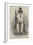 New Zealand Yuoth at the Egyptian Hall, Piccadilly-null-Framed Giclee Print