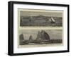 New Zealand-null-Framed Giclee Print