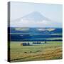 New Zealandsnow-Capped Mountain in New Zealand-George Silk-Stretched Canvas