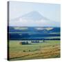 New Zealandsnow-Capped Mountain in New Zealand-George Silk-Stretched Canvas
