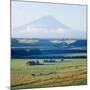 New Zealandsnow-Capped Mountain in New Zealand-George Silk-Mounted Photographic Print