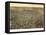 Newark, New Jersey - Panoramic Map-Lantern Press-Framed Stretched Canvas