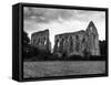 Newark Priory, Surrey-Fred Musto-Framed Stretched Canvas