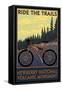 Newberry National Volcanic Monument, Oregon - Mountain Bike-Lantern Press-Framed Stretched Canvas