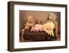 Newborn Baby Girl Wearing a Goldilocks Costume-Kattitude-Framed Photographic Print