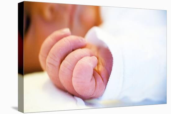 Newborn Baby's Hand-Mauro Fermariello-Stretched Canvas