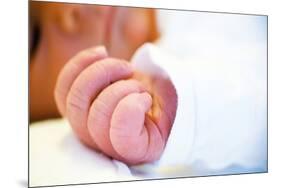 Newborn Baby's Hand-Mauro Fermariello-Mounted Photographic Print