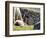 Newborn Llama Resting on Main Plaza, Machu Picchu, Peru-Diane Johnson-Framed Photographic Print