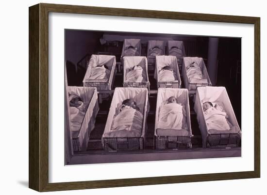 Newborns in the a Nursery of Provident Hospital in Chicago, Illinois, 1942-null-Framed Photo