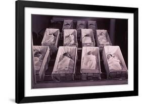 Newborns in the a Nursery of Provident Hospital in Chicago, Illinois, 1942-null-Framed Photo