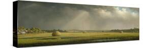 Newburyport Meadows, c.1876–81-Martin Johnson Heade-Stretched Canvas