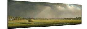 Newburyport Meadows, c.1876–81-Martin Johnson Heade-Mounted Giclee Print