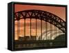 Newcastle and Gateshead, Tyne Bridge and the Sage, Tyne and Wear, England, UK-Alan Copson-Framed Stretched Canvas