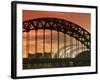 Newcastle and Gateshead, Tyne Bridge and the Sage, Tyne and Wear, England, UK-Alan Copson-Framed Photographic Print