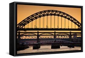 Newcastle Upon Tyne Skyline, Gateshead with the Tyne Bridge over River Tyne, Tyne and Wear-Neale Clark-Framed Stretched Canvas