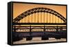 Newcastle Upon Tyne Skyline, Gateshead with the Tyne Bridge over River Tyne, Tyne and Wear-Neale Clark-Framed Stretched Canvas