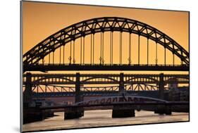 Newcastle Upon Tyne Skyline, Gateshead with the Tyne Bridge over River Tyne, Tyne and Wear-Neale Clark-Mounted Photographic Print