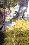 Wyeth: Treasure Island-Newell Convers Wyeth-Giclee Print