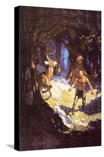 Stretched Canvas Print, , large