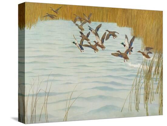 Stretched Canvas Print, , large