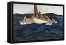 Canvas Black